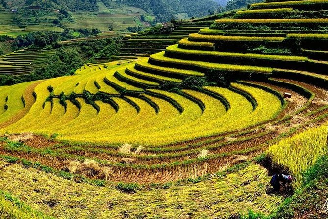 From Hanoi: 2-Day Overnight Sapa Tour by Luxury Van Limousine - Who This Tour Fits Best (and Who Might Regret It)