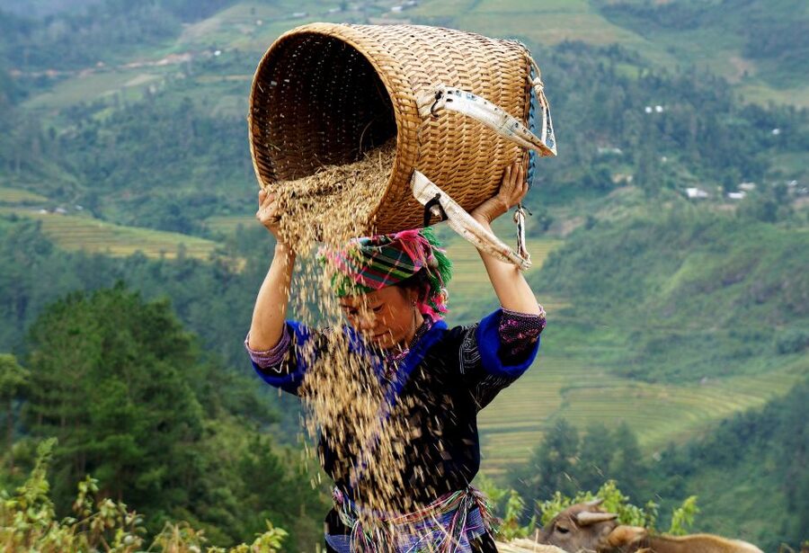 From Hanoi: 2-Day Sapa Cultural Exchange Tour with Homestay - Who this tour fits well, and who should skip it