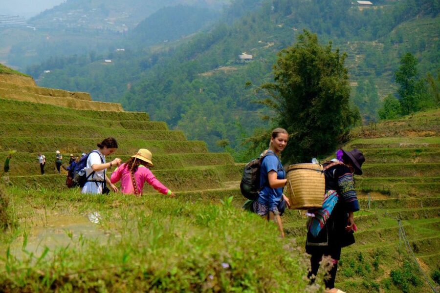 From Hanoi: 2-Day Sapa, Fansipan, and Muong Hoa Valley Tour - Day 1: Cable car up Fansipan, pagoda stops, then 600 steps