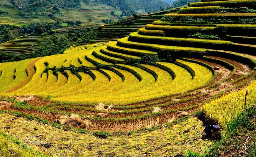 From Hanoi: 2-Day Sapa-Fansipan Peak & Trek & Ha Giang Bus - Price and Value: Cable Car, Meals, and What You Should Budget For