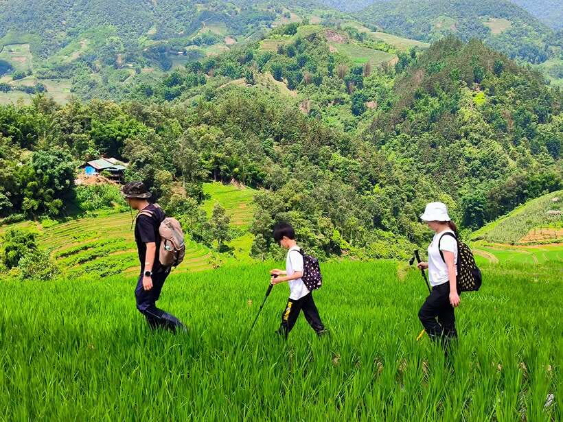 From Hanoi: 2-Day Sapa Trek Tour - Luxury Limousine Transfer - Day 2: Lao Chai to Ta Van, rice terraces, and the long 9-12 km trek