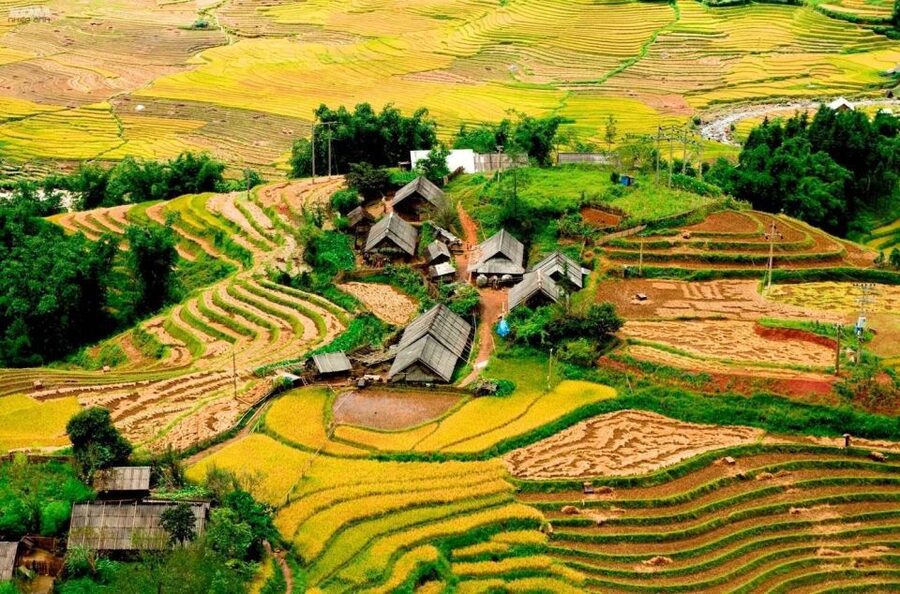 From Hanoi: 2-Day Sapa Trekking Trip with Homestay & Meals - From Hanoi To Sapa: Sleeper Bus Comfort and Early Start
