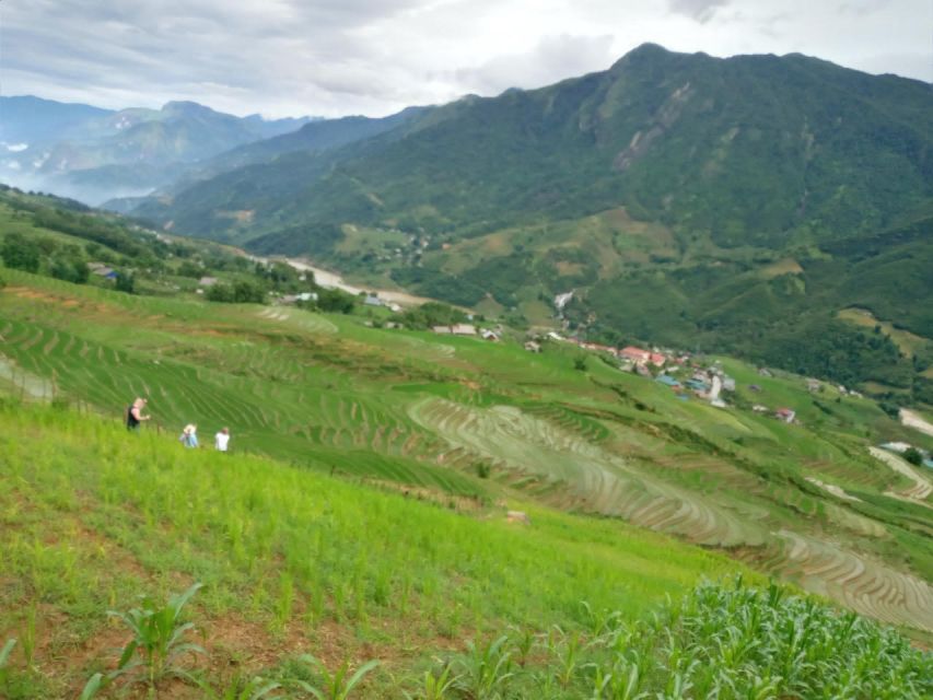From Hanoi: 2-Day Sapa Trekking Trip with Homestay & Meals - Day 2 Options in Ta Van: Farming Work or Bamboo Forest Trek