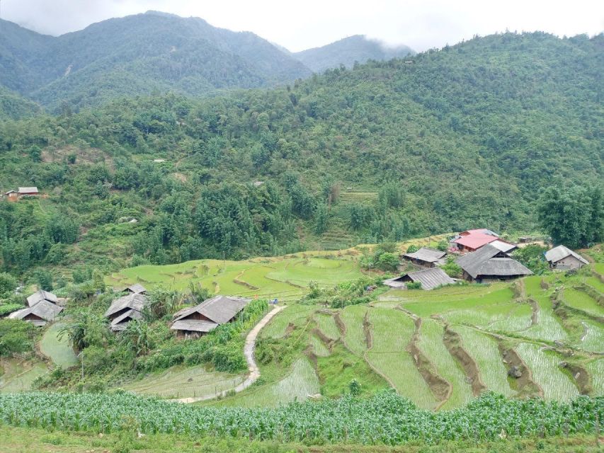 From Hanoi: 2-Day Sapa Trekking Trip with Homestay & Meals - Sapa Town Free Time: Market Browsing After Lunch