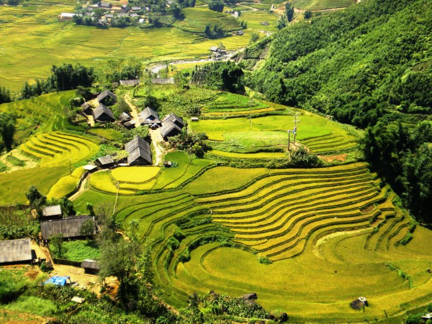From Hanoi: 2-Day Sapa Trekking Trip with Homestay & Meals - Price and Value: What $71 Really Buys in Sapa