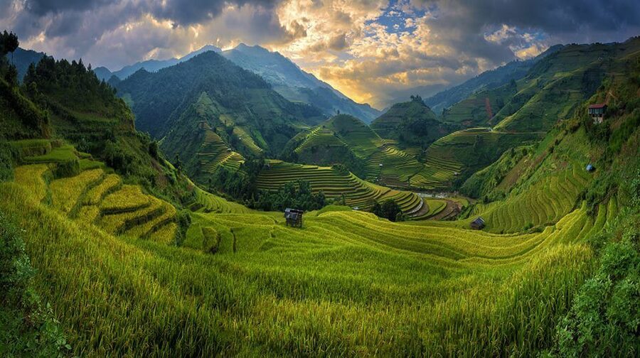 From Hanoi: 3-Day Sapa Trekking with Limousine Transfer - What you actually get for around $199 per person