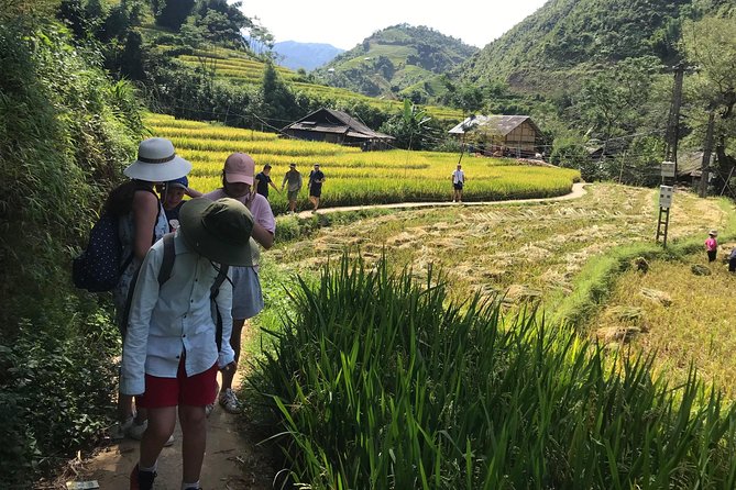 From Hanoi: 3 Days Luxury Sapa Trek & Fansipan Peak with Dcar - Fansipan Peak plans: cable car costs and flexible expectations