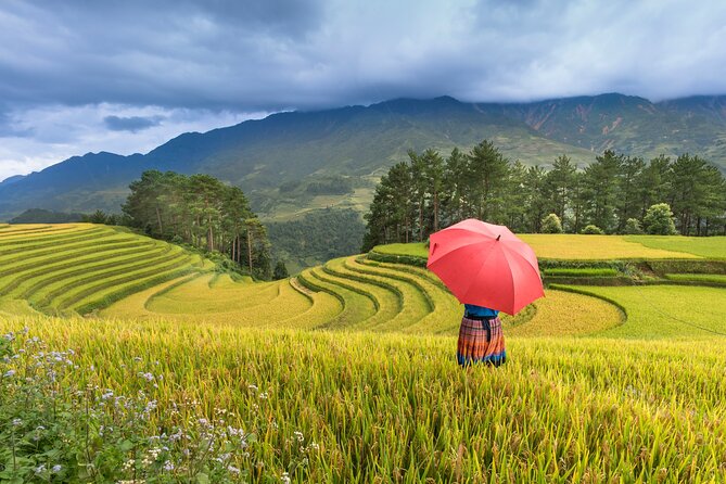 From Hanoi: 3 Days Sapa Trekking & Ethnic Villages by Dcar - Day 2: Cat Cat Village trek, then your Fansipan choice