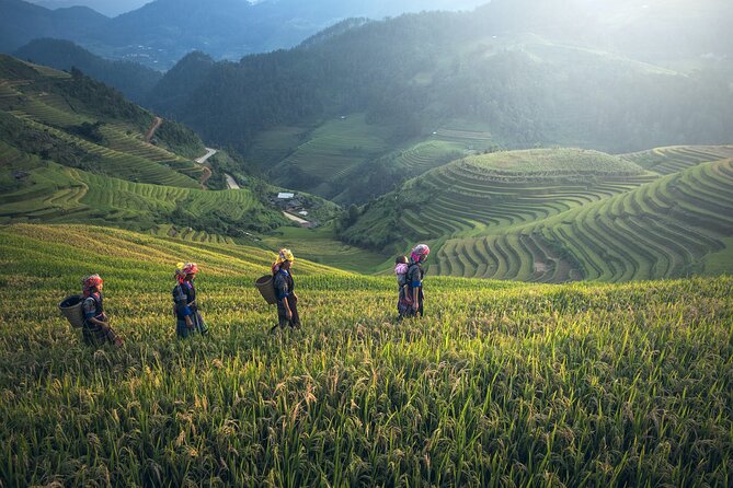 From Hanoi: 3 Days Sapa Trekking & Ethnic Villages by Dcar - Who the guide makes or breaks: Ms. Mei, Mikey, and the team vibe