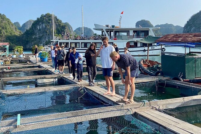 From Hanoi/Cat Ba: Lan Ha-Ha Long Bay Full Day Boat trip - Key highlights that make this Lan Ha day feel worth it