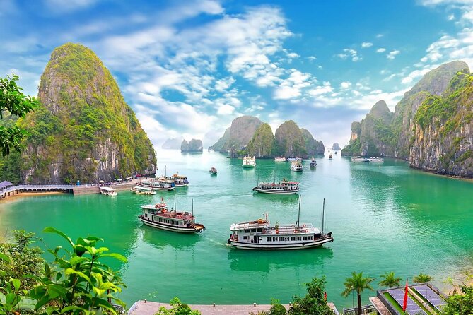 From Hanoi/Cat Ba: Lan Ha-Ha Long Bay Full Day Boat trip - Lunch aboard: Cat Ba seafood, plus real vegetarian and vegan options