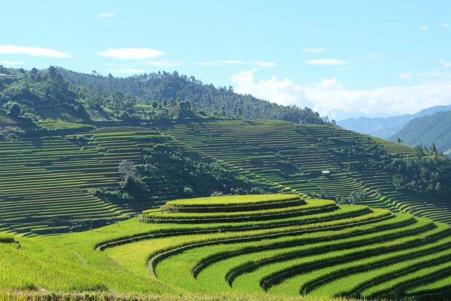 From Hanoi: Explore Sapa 2-Day Tour - Meals and snacks: what is included, and what that means for value