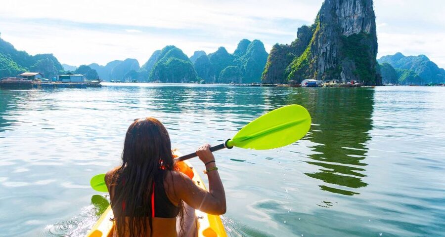 From Hanoi: Halong Bay Day Trip with Lunch and Transfers - Who should book, and who should skip this day plan