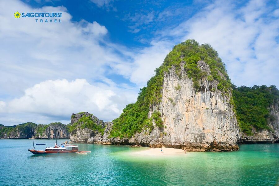 From Hanoi: Halong Bay Day Trip with Lunch and Transfers - Sung Sot Cave: the big cave stop, with guided walking