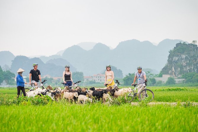 From Hanoi: Hoa Lu - Tam Coc boating - Cycling & Mua Cave visit - Key highlights at a glance