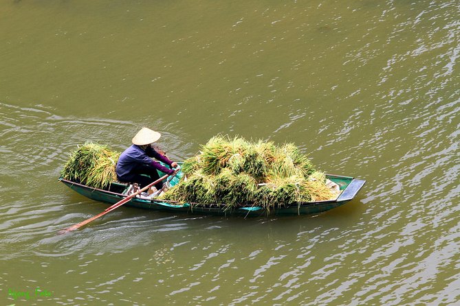 From Hanoi: Hoa Lu - Tam Coc boating - Cycling & Mua Cave visit - Price and logistics, what makes the $38 value work