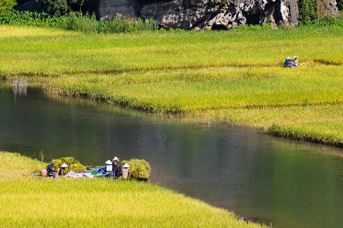From Hanoi: Hoa Lu - Tam Coc boating - Cycling & Mua Cave visit - The guide experience, especially Quang