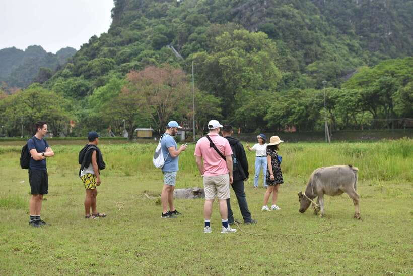 From Hanoi: Ninh Binh, Hoa Lu, Tam Coc, & Mua Cave Day-Trip - Tam Coc bamboo boat: the “on land Ha Long Bay” moment