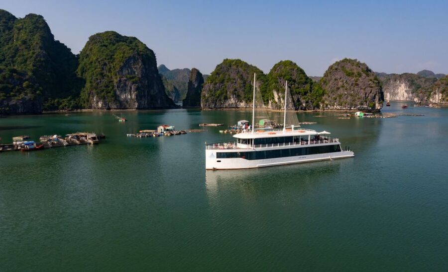 From Hanoi or Halong: Halong Bay Day Cruise - Swimming in a Quiet Lan Ha Cove: When the Bay Goes Still