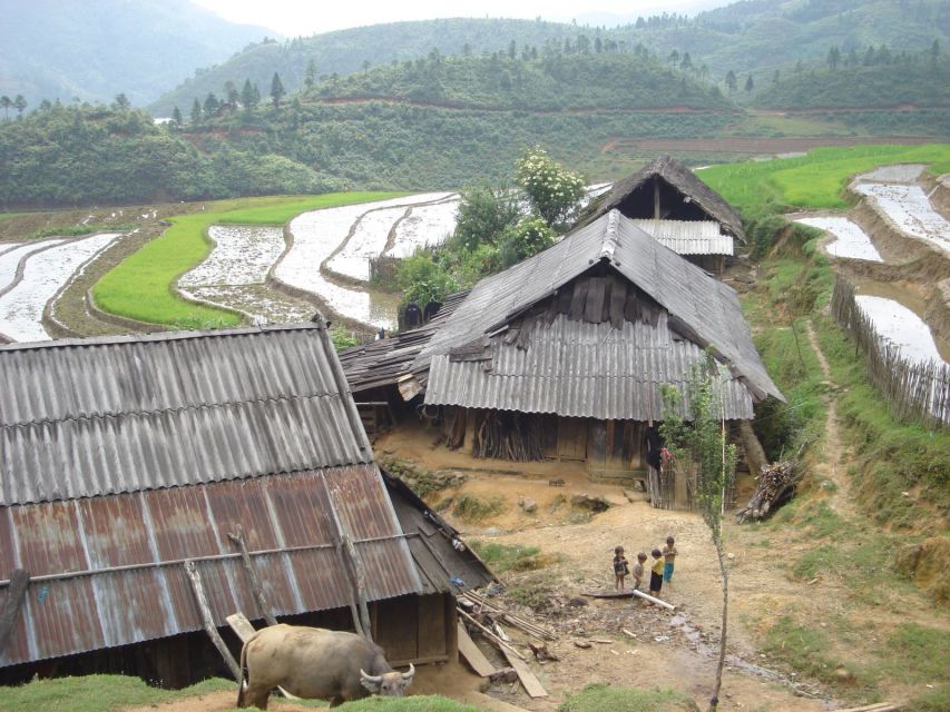 From Hanoi: Sapa 3-Day Medium Trek and Limousine Trip - Homestays: the cultural win, with a comfort reality check