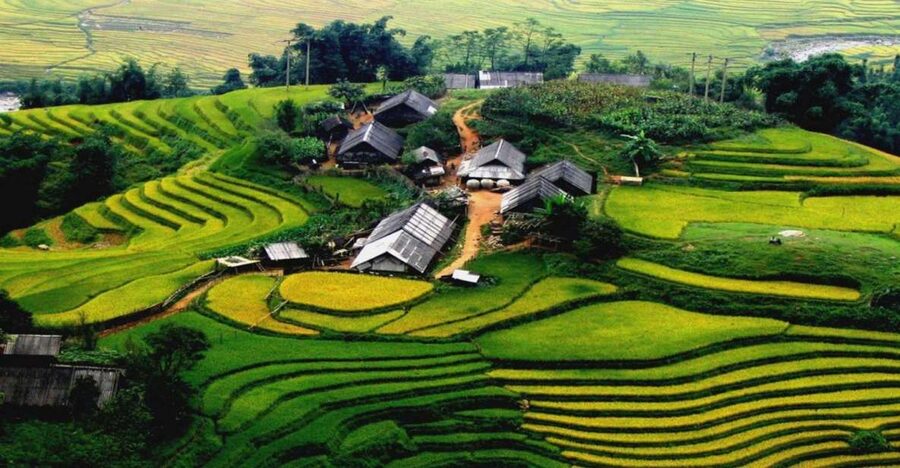 From Hanoi: Sapa 3-Day Medium Trek and Limousine Trip - Hanoi to Sapa by limousine: comfortable, but watch the clock