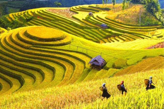 From Hanoi : Sapa Moutain Trek - Halong bay Heritage - Surprise Cave on the last day: biggest cave in Halong Bay, boat transfer included