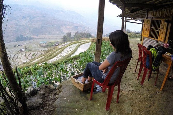 From Hanoi: Sapa Real Experience 2-Day 1 Night at Ethnic Homestay - Day 2: bamboo forest, terraced fields, and the rhythm of a morning start