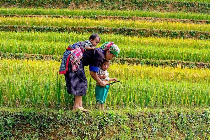 From Hanoi: Sapa Real Experience 2-Day 1 Night at Ethnic Homestay - What to pack, because the mountains do not do soft landings