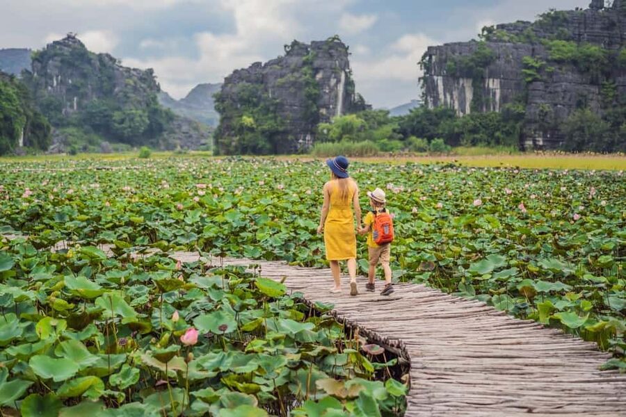 From Hanoi: Trang An Eco-tourism -Bai Dinh pagoda & Mua Cave - Price and value check for a $46 one-day tour