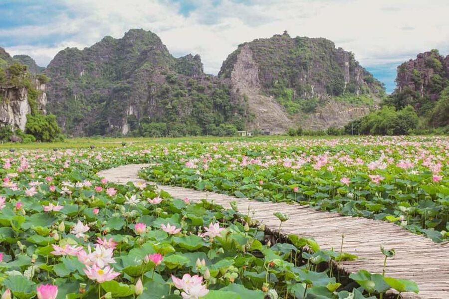 From Hanoi: Trang An eco-tourism - Hoa Lu ancient & Mua Cave - Should you book Trang An eco-tourism, Hoa Lu, and Mua Cave?