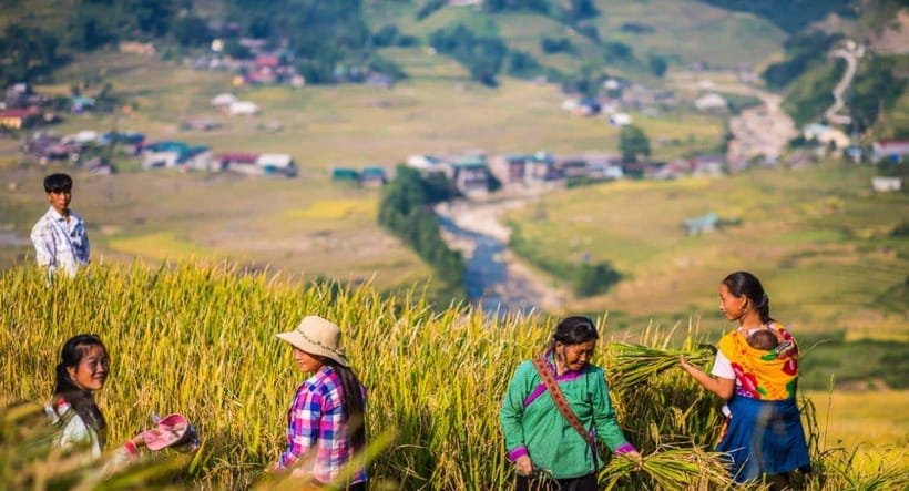 From Hanoi: Trek and Stay: 3-Day Sapa Highlands Adventure - Who this Sapa Highlands trek fits best