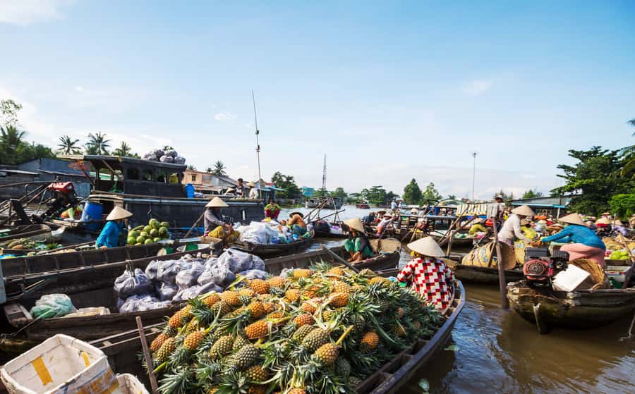 From HCM: Mekong Delta & Cai Rang Floating Market 2-Day Tour - Quick Hits Before You Book