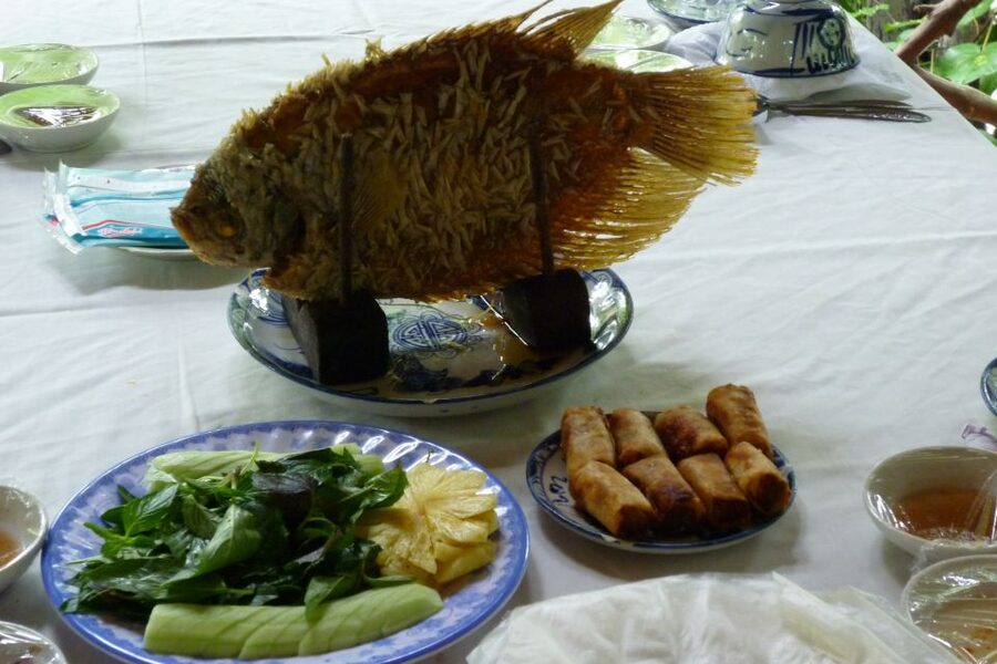 From Ho Chi Minh City: Mekong Delta VIP Tour by Limousine - Coconut Island and the Village-Orchard World