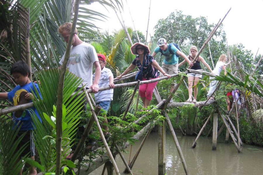From Ho Chi Minh City: Mekong Delta VIP Tour by Limousine - Afternoon Pace Back at My Tho, Then Return to Ho Chi Minh City