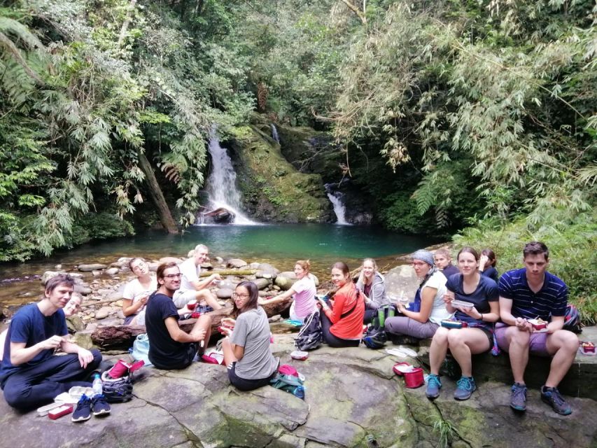 From Hue/Da Nang/Hoi An: Bach Ma National Park Trekking Tour - Picnic lunch breaks: eating well without slowing the day too much
