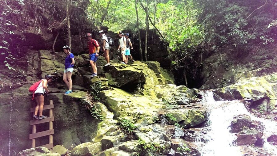 From Hue/Da Nang/Hoi An: Bach Ma National Park Trekking Tour - The trek route: Hai Vong Dai Peak and how the day is paced