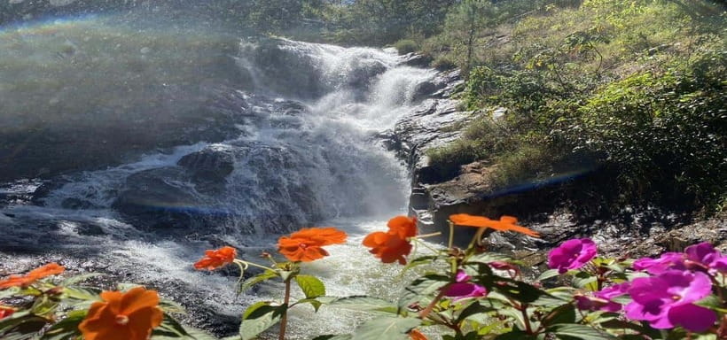 From Nha Trang: Best Seller Top Site Luxury Da Lat City Trip - Key highlights you’ll care about