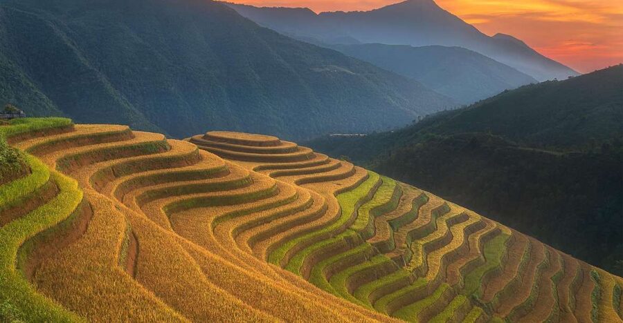 From Sapa: 1-Day Guided Trek to Lao Chai & Ta Van with Lunch - Lao Chai village: rice terraces, daily life, and the lunch you’ll remember