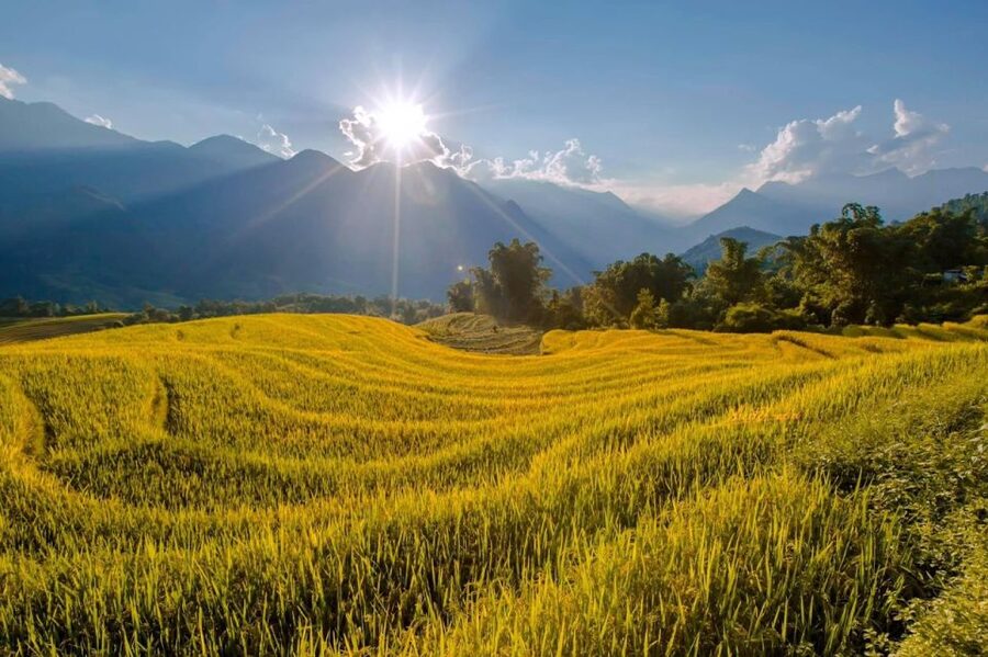 From Sapa: 1-Day Guided Trek to Lao Chai & Ta Van with Lunch - Ta Van village and the herb incense-making lesson