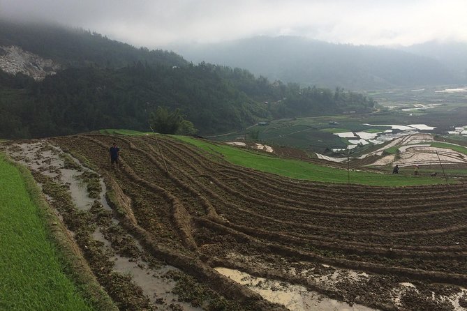 From Sapa: 2-Day Trek Through Authentic Villages in North - Sapa - Getting Going at 9:00: Pickup and the Ta Phin Start