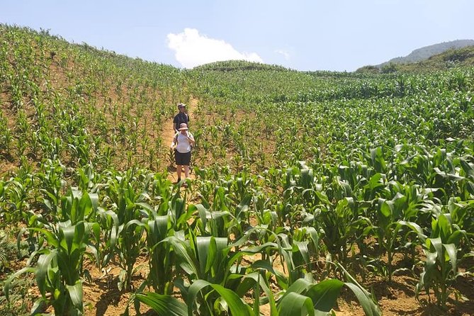 From Sapa: 2-Day Trek Through Authentic Villages in North - Sapa - Day 2: Trung Chai Views, Picnic Lunch, and More Village Time