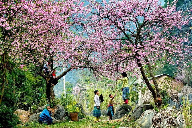 From Sapa: 2 Days 1 Night Trek Over Night At Homestay - Day 1: Y Linh Ho and Lao Chai through Muong Hoa Valley