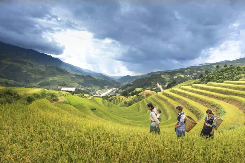 From Sapa Homestay Hideaway 2-Day Local Life Adventure - Day 1 Route: Y Linh Ho, Lao Chai, and the Walk into Ta Van