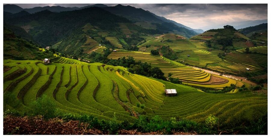 From Sapa: Terrace Fields and Local Villages Trek with Lunch - Sapa Terrace Views, Real Villages, and a Local-Guide Focus