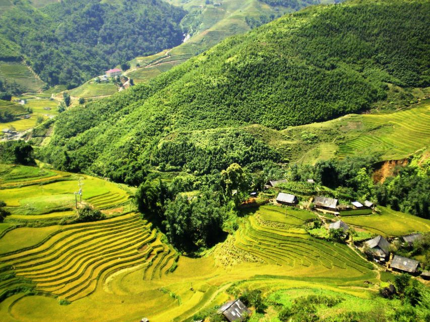From Sapa: Terrace Fields and Local Villages Trek with Lunch - Bamboo Forest, Waterfall Stops, and the Mud Reality