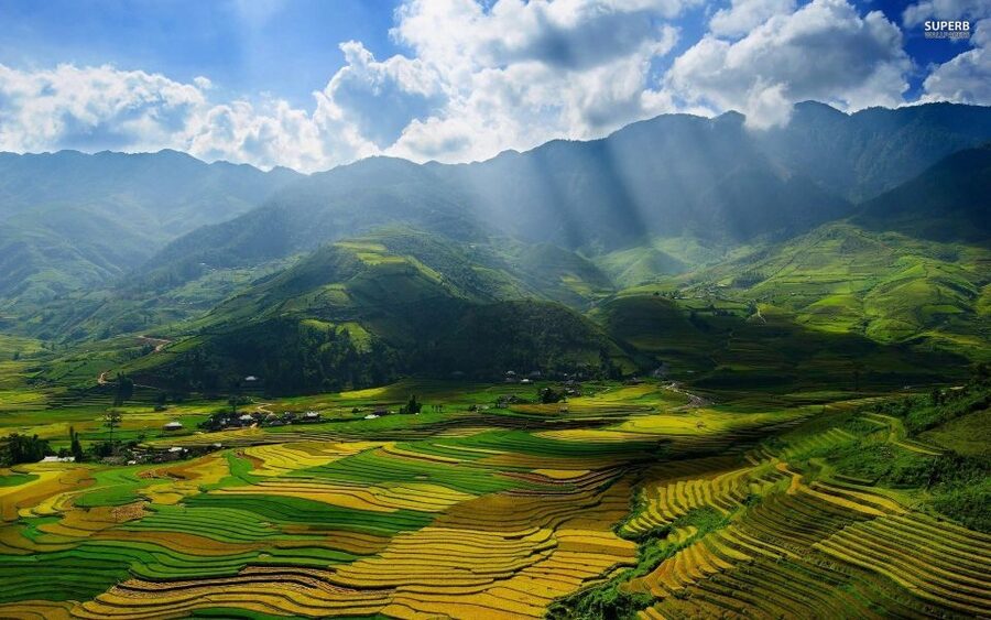 From Sapa: Terrace Fields and Local Villages Trek with Lunch - Price and Logistics: Is $22 Good Value in Sapa?