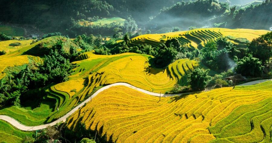 From Sapa: Terrace Fields and Local Villages Trek with Lunch - My Take: Should You Book This Sapa Terrace Fields Trek?