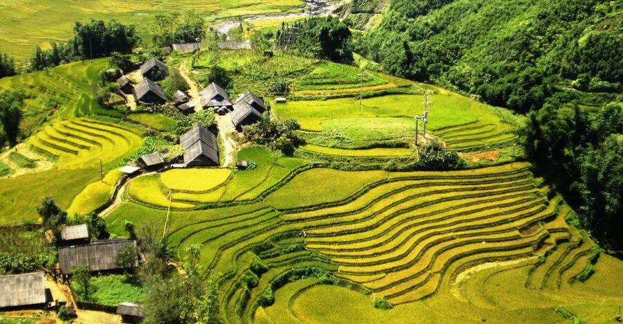 From Sapa: Terrace Fields and Local Villages Trek with Lunch - Hotel Pickup That Also Helps You Learn the Town