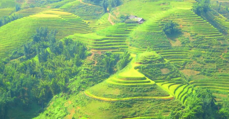 From Sapa: Waterfalls, Trekking and Tribal Villages Tour - How the half-day starts: pickup, Tram Ton Pass, and waterfall staging