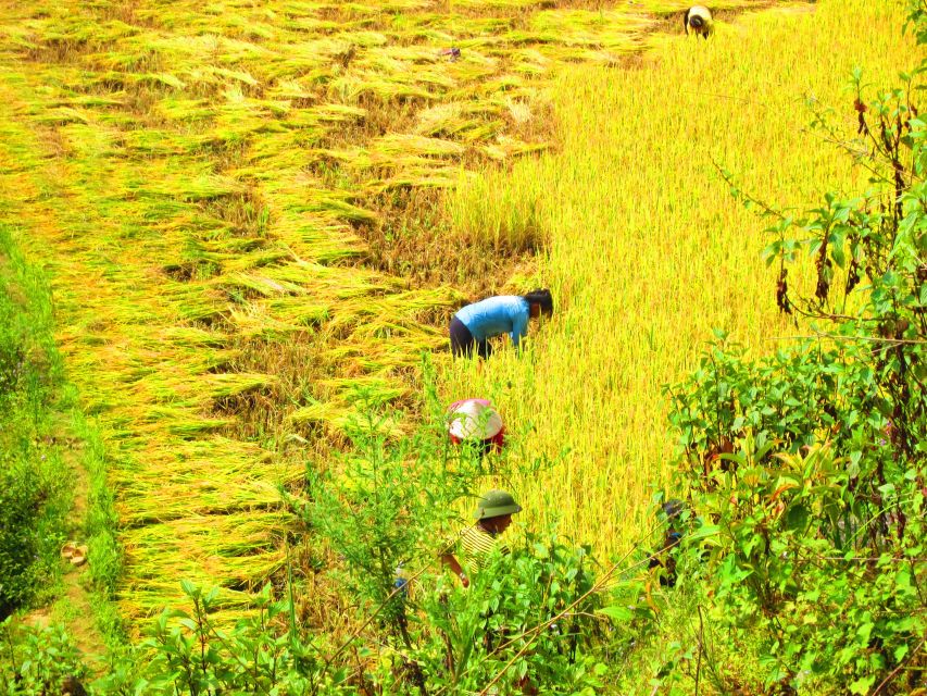 From Sapa: Waterfalls, Trekking and Tribal Villages Tour - Picnic lunch with locals: more than a boxed meal